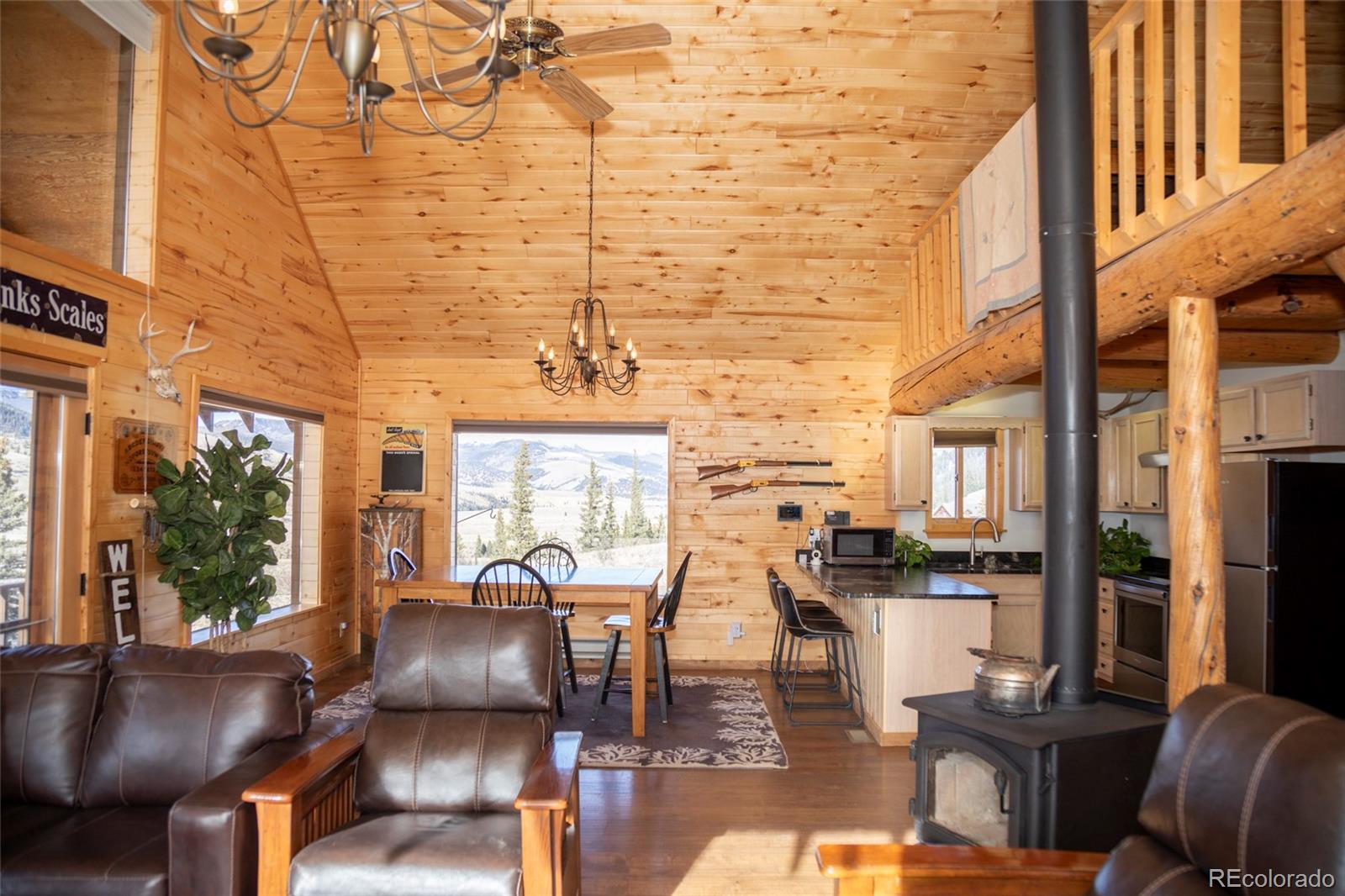 MLS Image #10 for 1263  whiskey lane,creede, Colorado