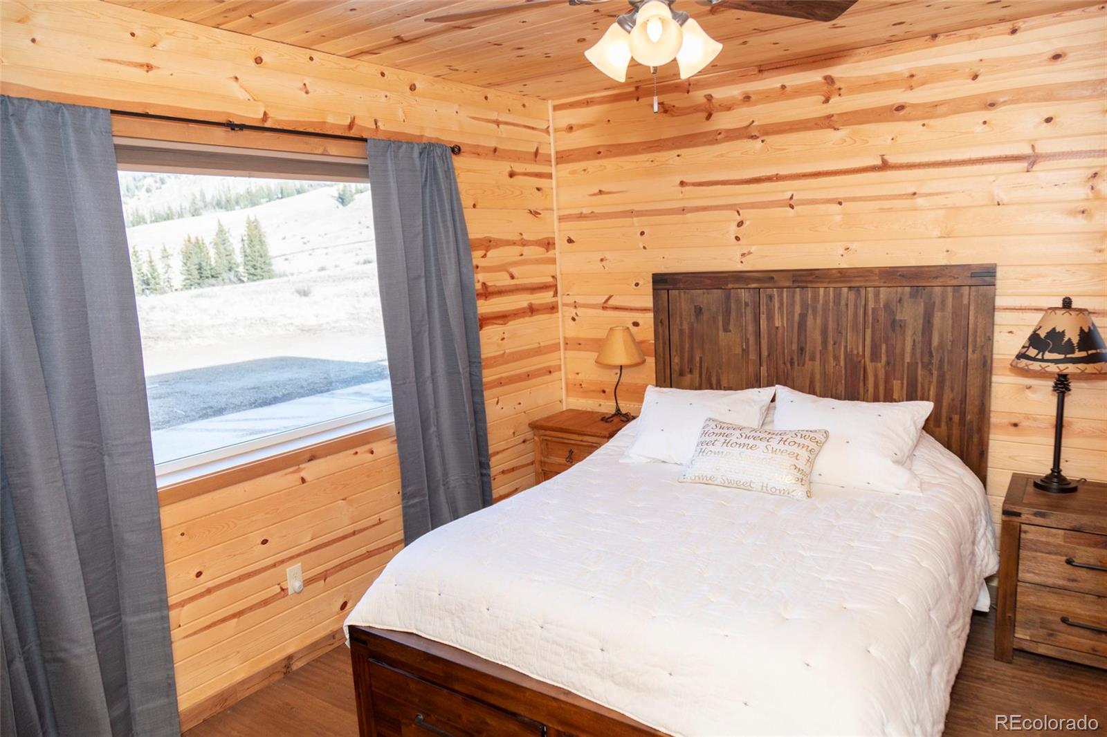 MLS Image #11 for 1263  whiskey lane,creede, Colorado