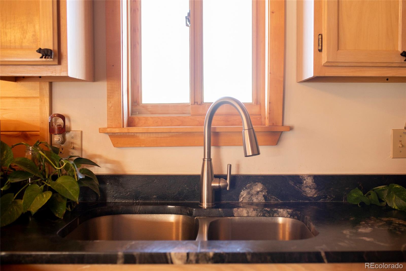 MLS Image #3 for 1263  whiskey lane,creede, Colorado