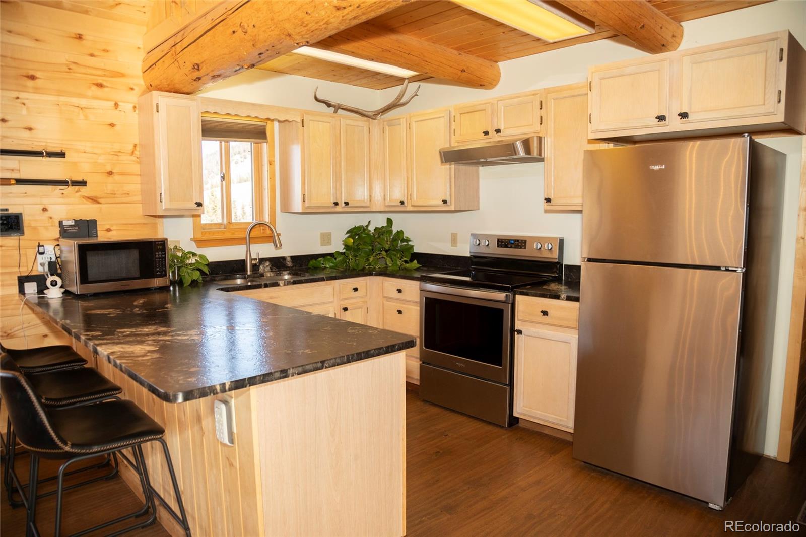 MLS Image #5 for 1263  whiskey lane,creede, Colorado
