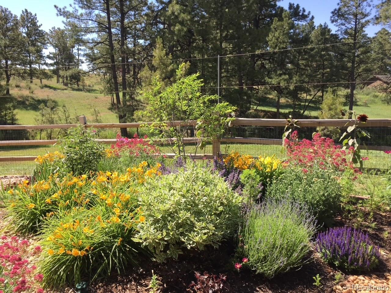 MLS Image #37 for 8390 e summit road,parker, Colorado