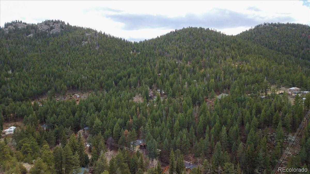 MLS Image #28 for 1195  beaver brook canyon road,evergreen, Colorado