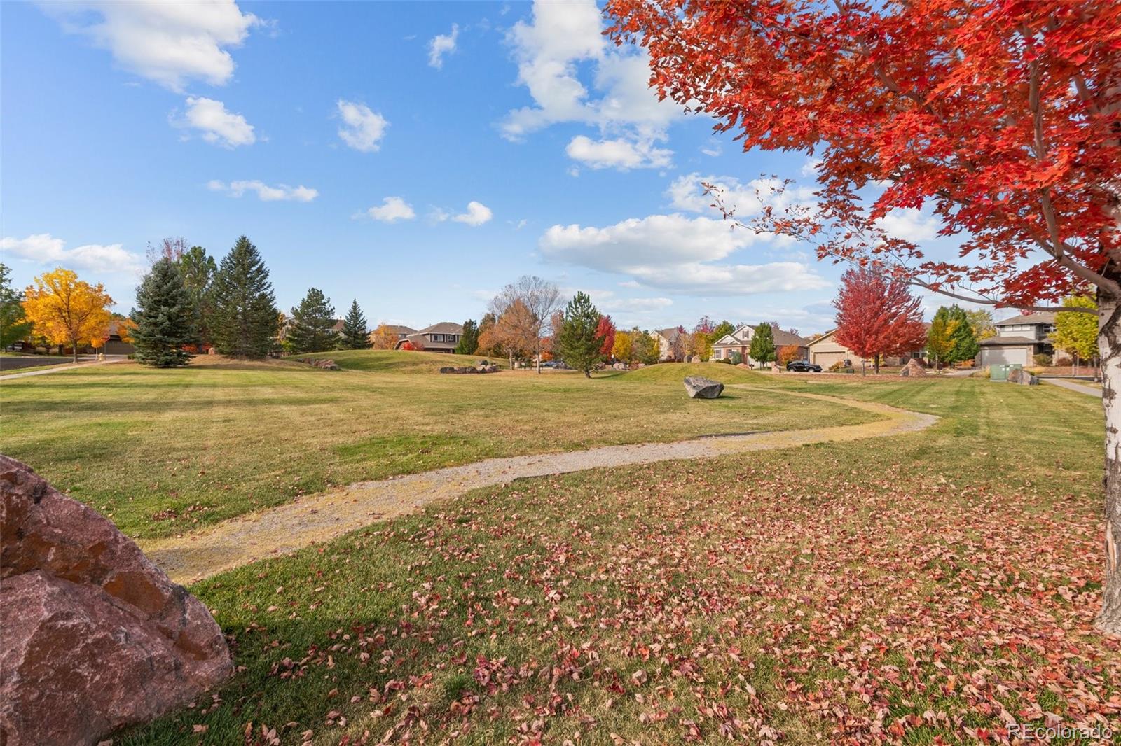 MLS Image #42 for 4495  rainbow lane,broomfield, Colorado