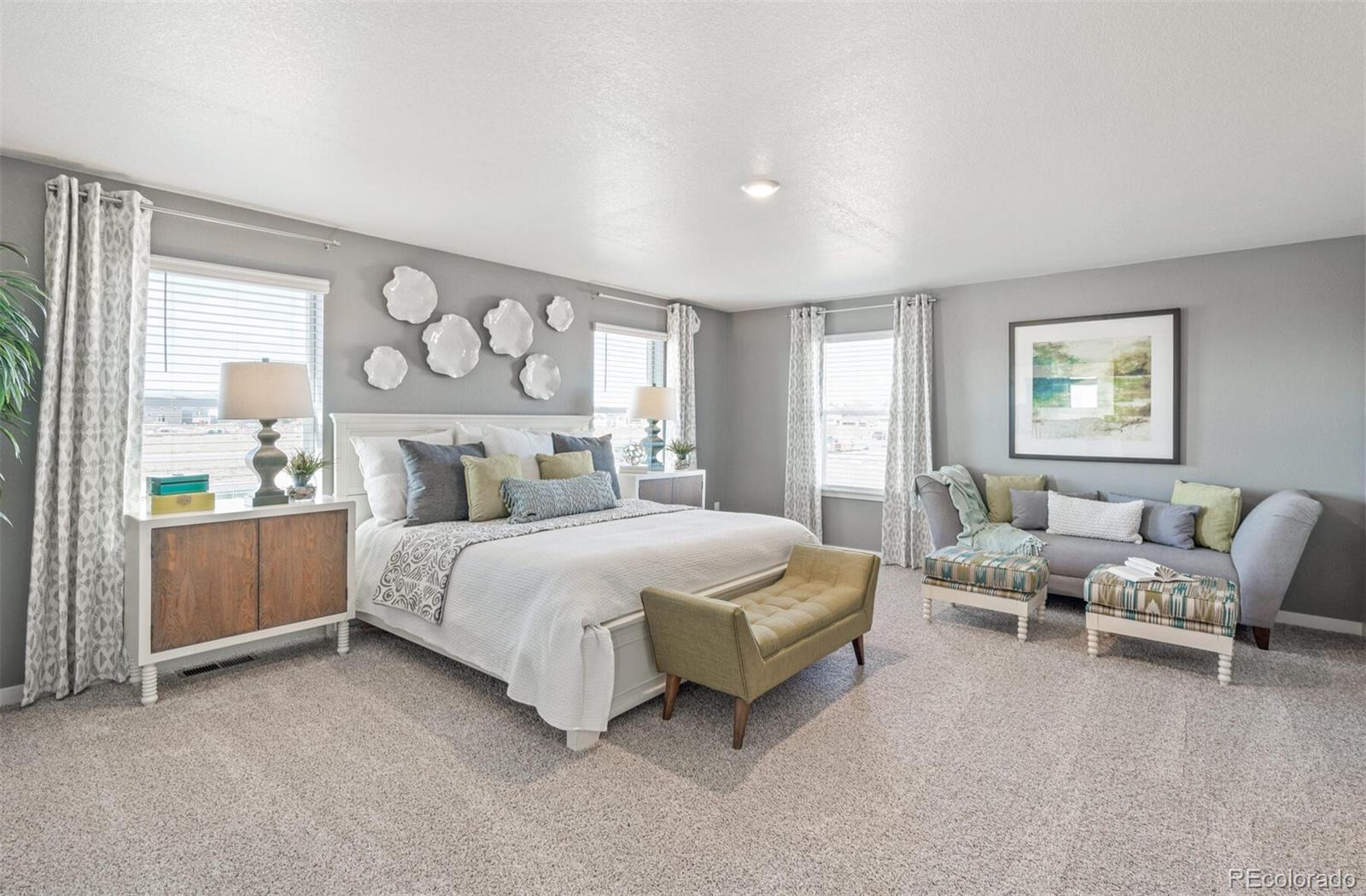 MLS Image #20 for 5575  tulim lane,windsor, Colorado