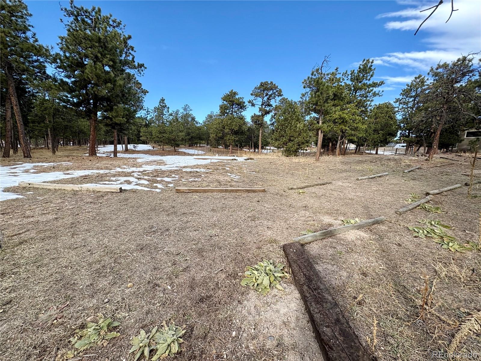 MLS Image #41 for 11230  teachout road,colorado springs, Colorado