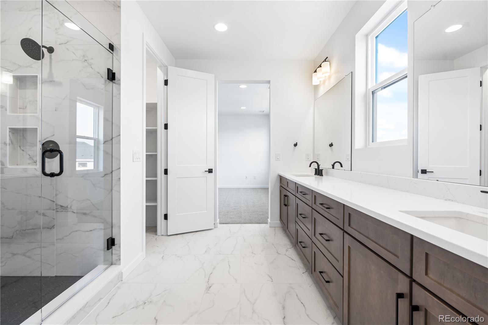 MLS Image #29 for 8864  moonshimmer trail,littleton, Colorado