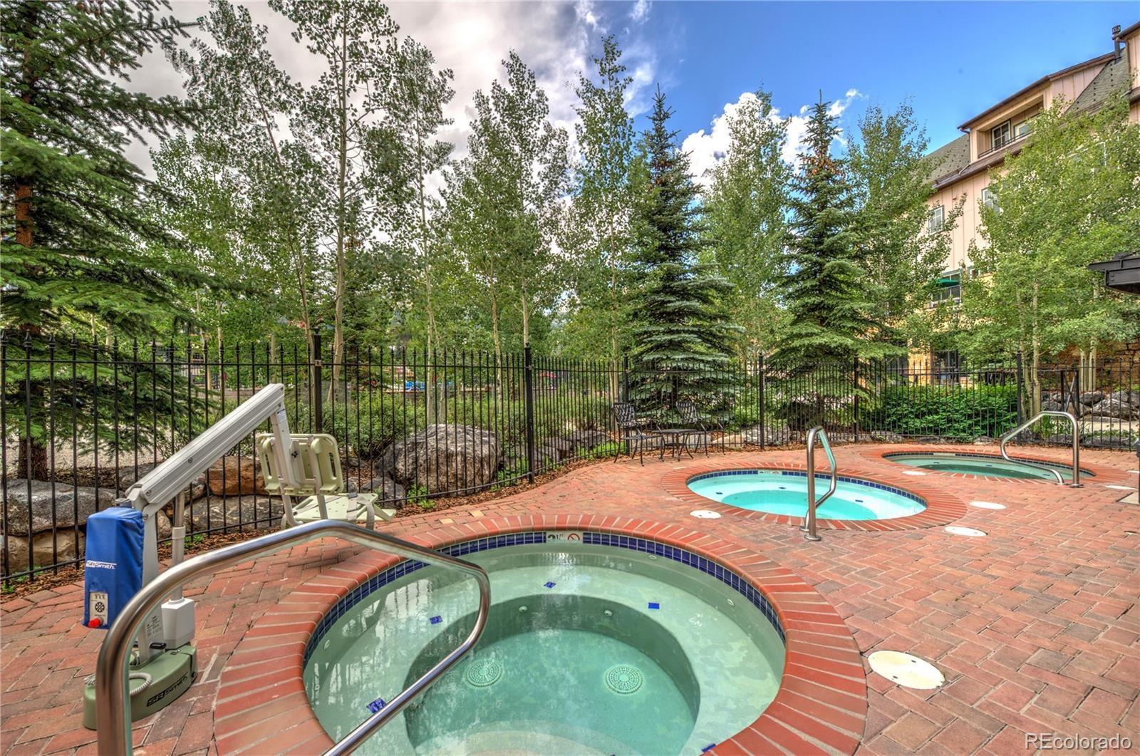 MLS Image #38 for 600  columbine road,breckenridge, Colorado