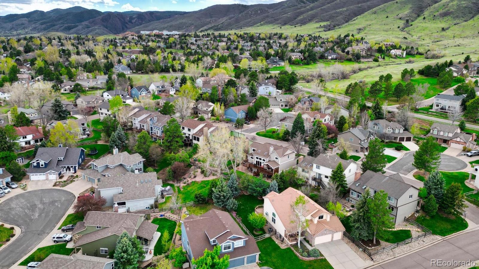 MLS Image #6 for 76  buckthorn drive,littleton, Colorado