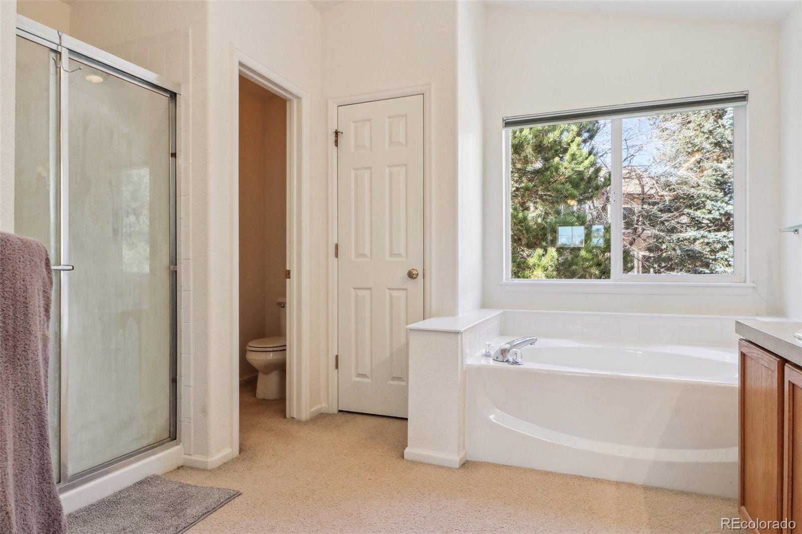 MLS Image #20 for 10795  quail creek drive,parker, Colorado