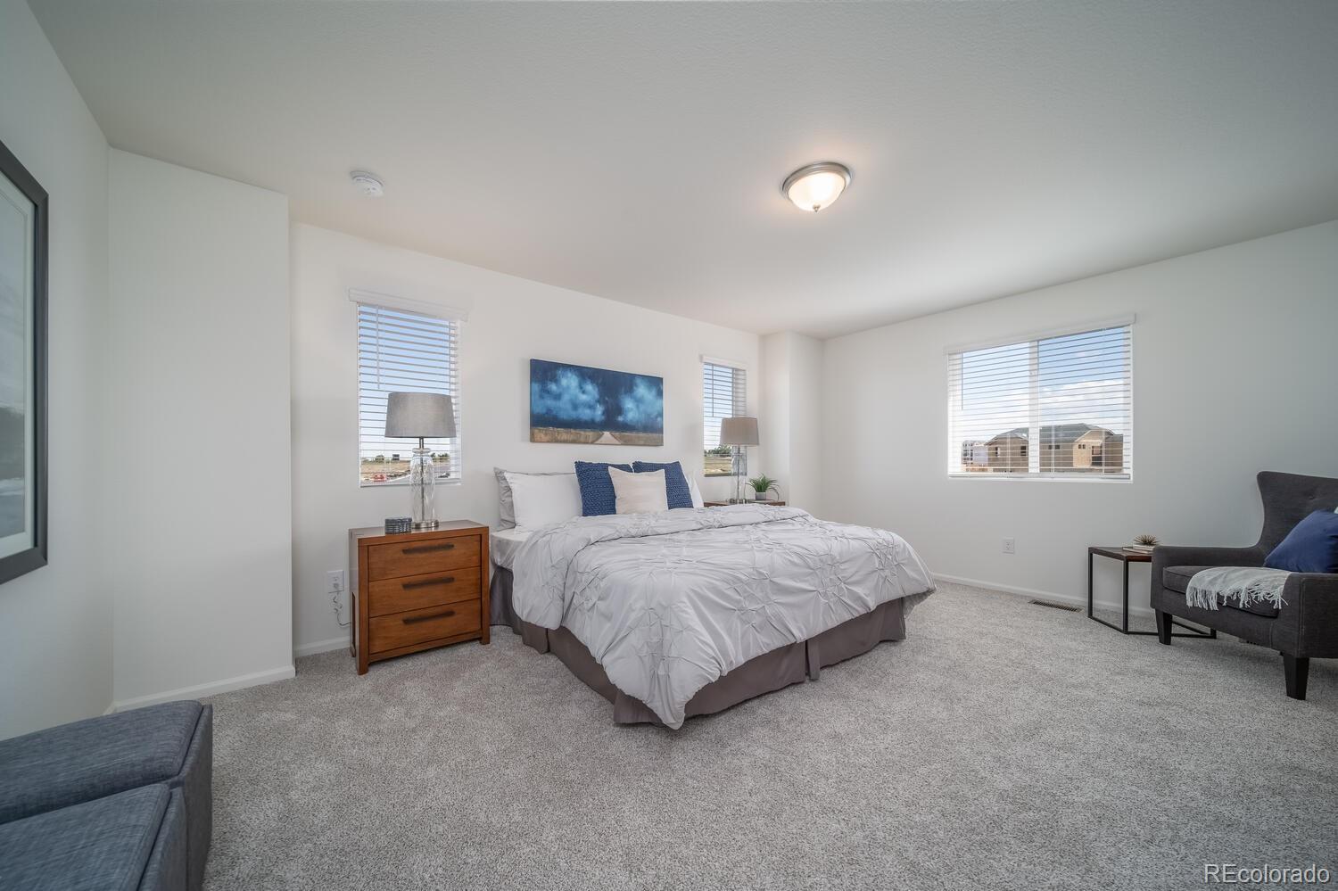 MLS Image #20 for 13545 e 103rd avenue,commerce city, Colorado