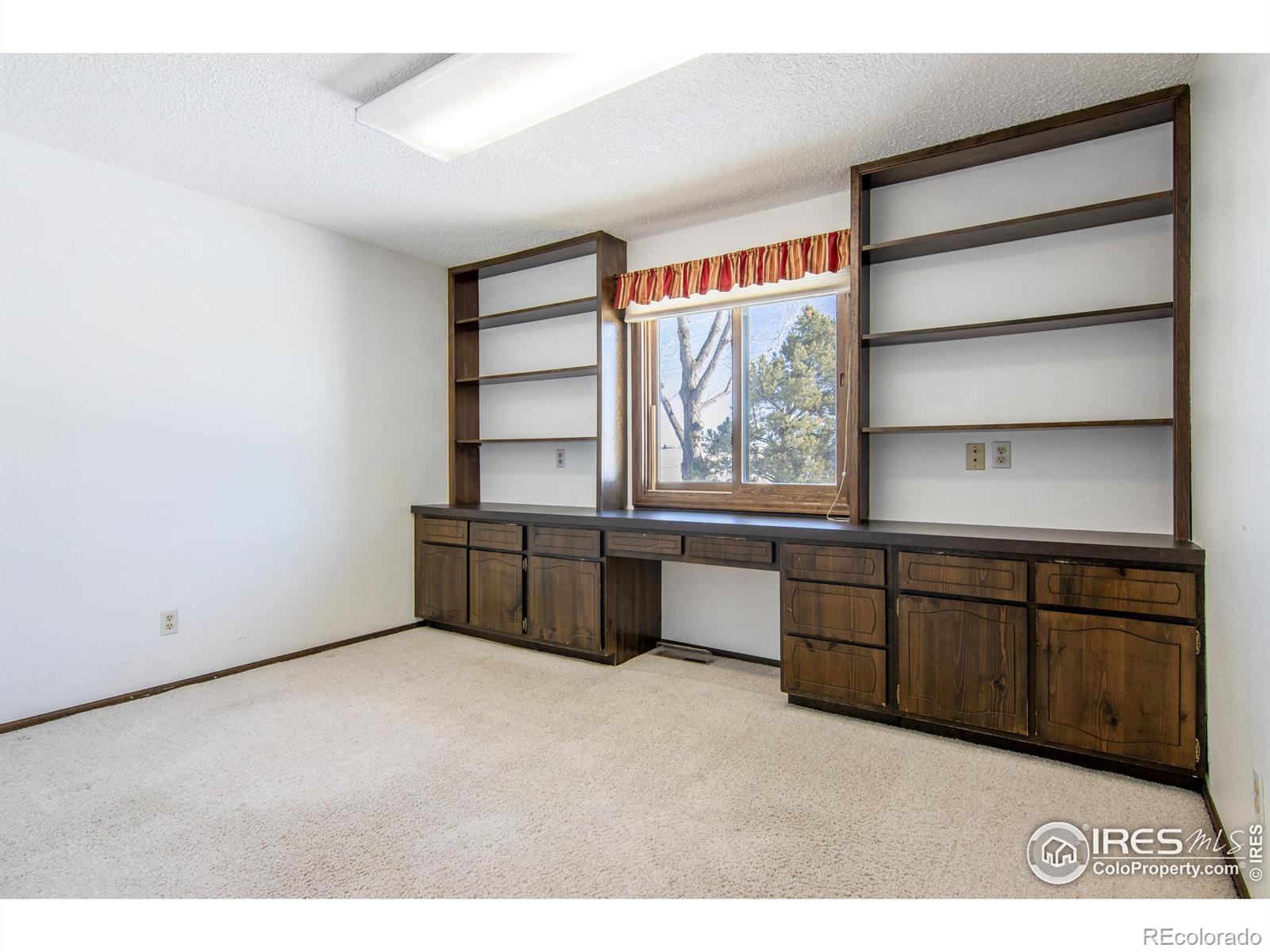 MLS Image #11 for 5580  colt drive,longmont, Colorado