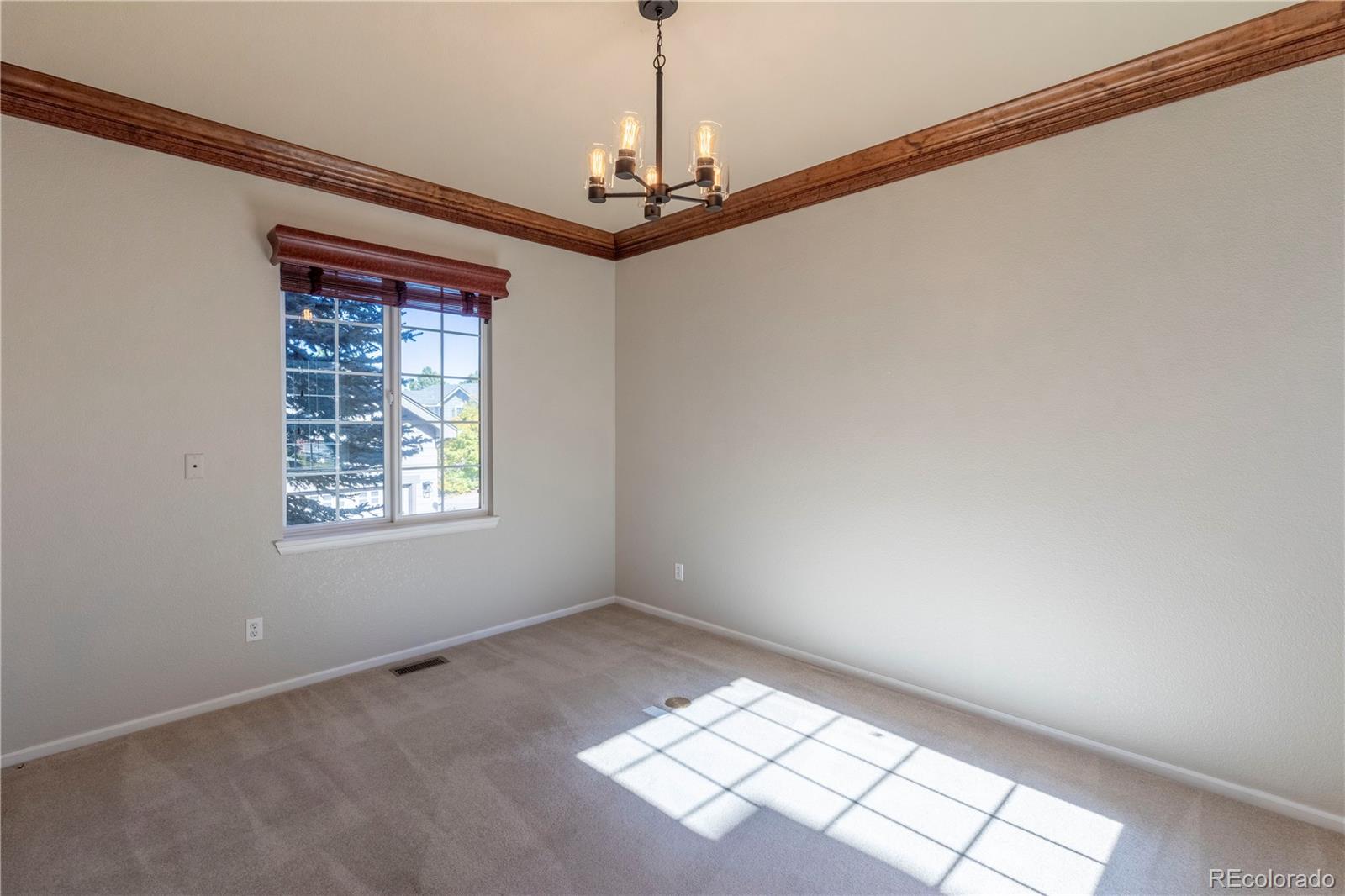 MLS Image #8 for 2675  timberchase trail,highlands ranch, Colorado
