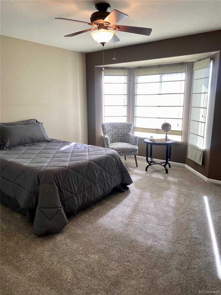MLS Image #13 for 4923  turning leaf way,colorado springs, Colorado