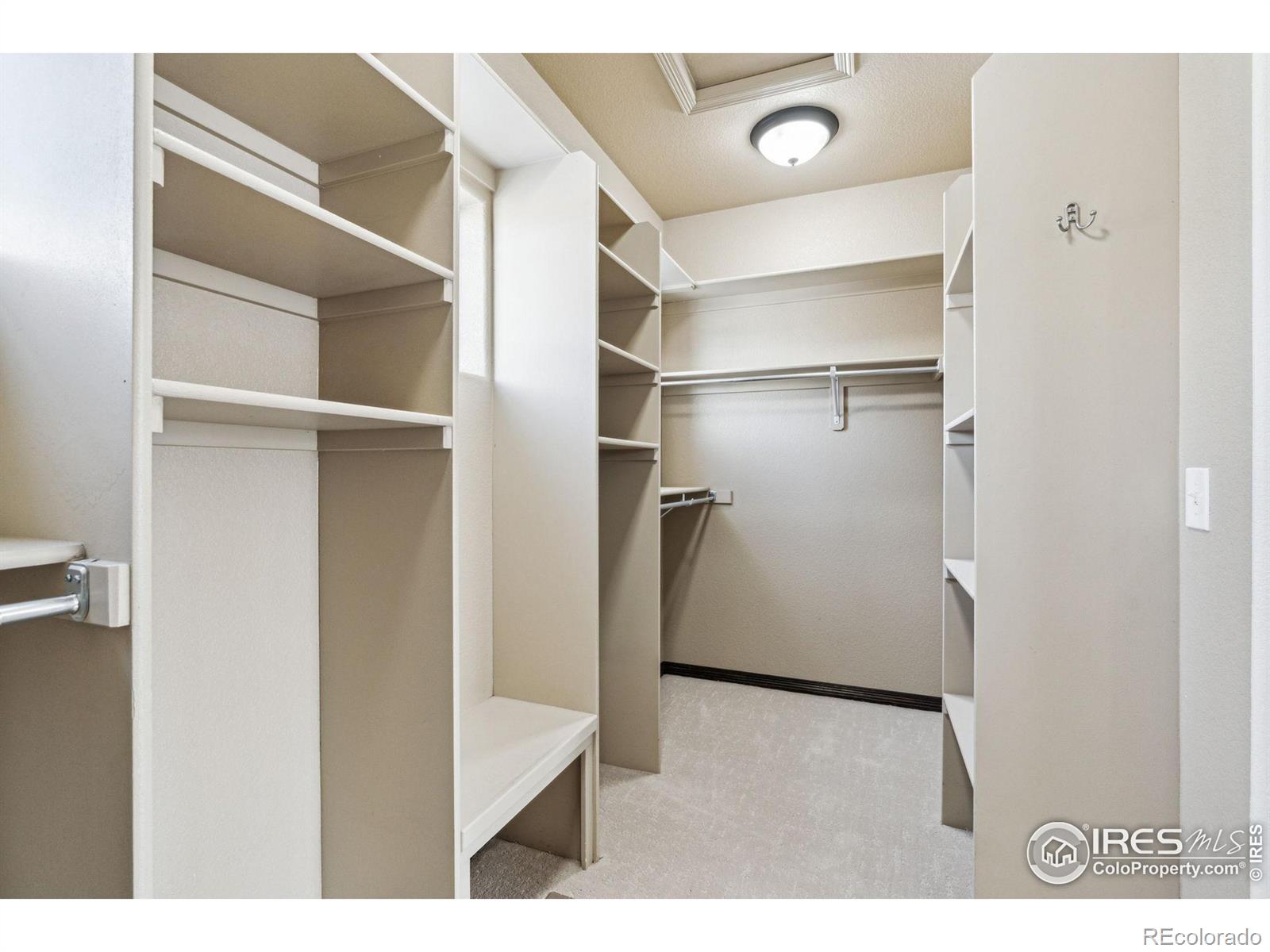 MLS Image #24 for 5121  outlook avenue,timnath, Colorado