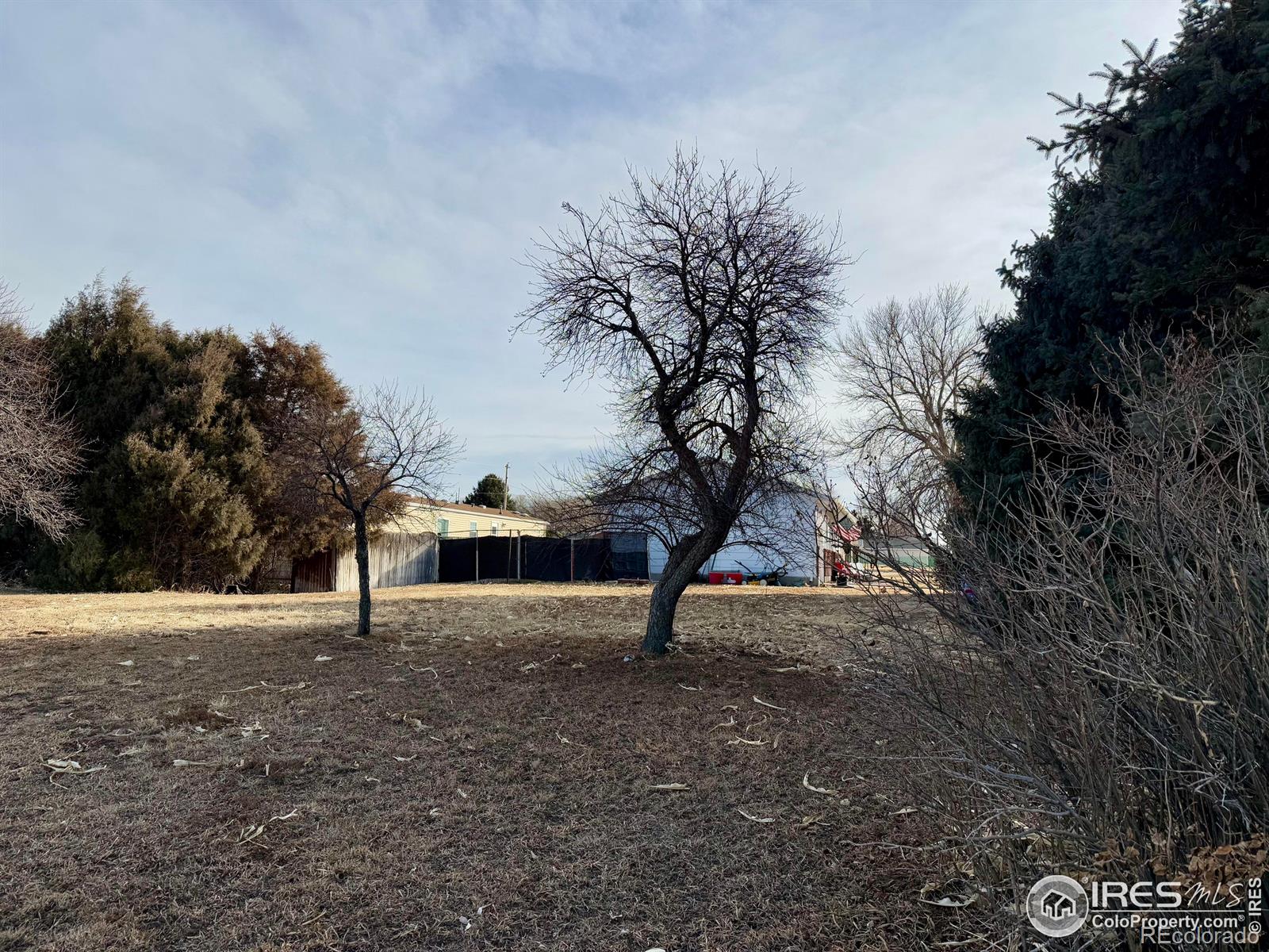 MLS Image #13 for 504 n edmund avenue,haxtun, Colorado