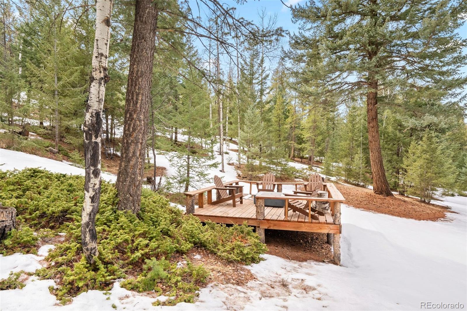 MLS Image #46 for 5575  jackpine road,evergreen, Colorado