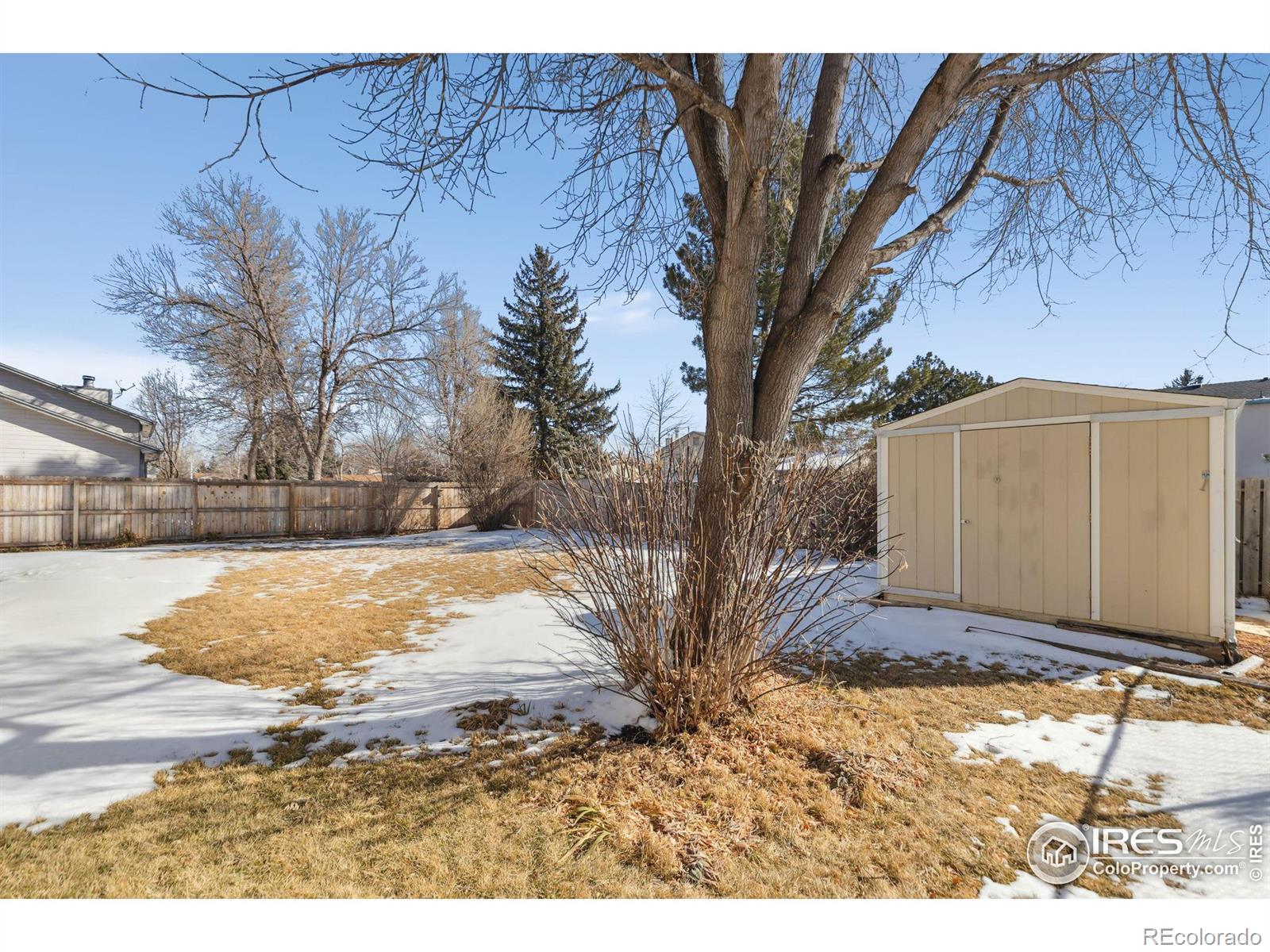 MLS Image #33 for 3324  dudley way,fort collins, Colorado