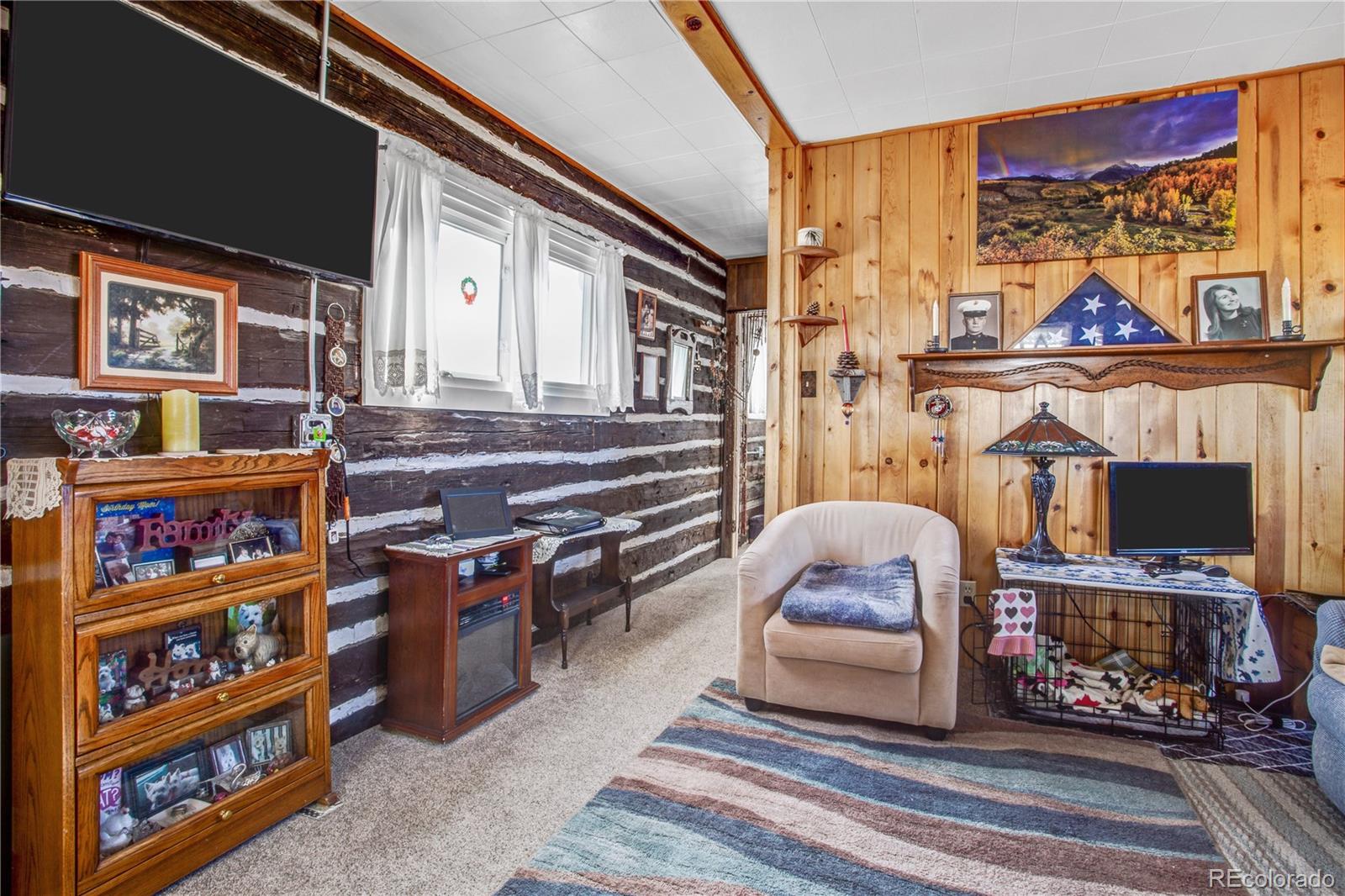 MLS Image #12 for 11425  county road 197 ,nathrop, Colorado