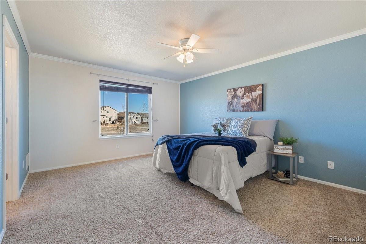MLS Image #13 for 13038  devils thumb place,peyton, Colorado