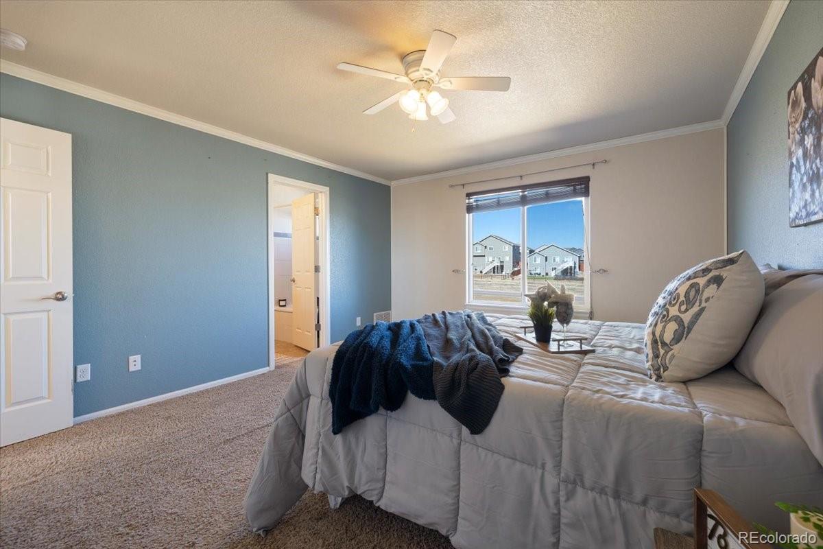 MLS Image #15 for 13038  devils thumb place,peyton, Colorado