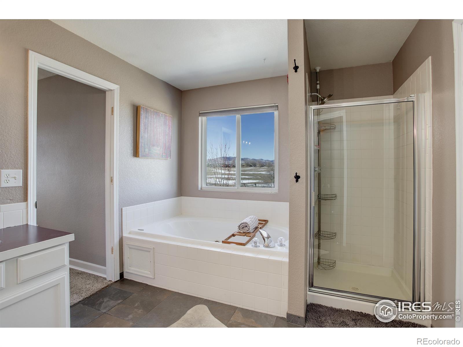 MLS Image #17 for 821  wisteria drive,loveland, Colorado