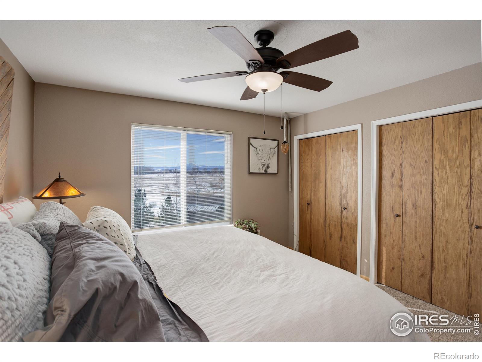 MLS Image #20 for 821  wisteria drive,loveland, Colorado
