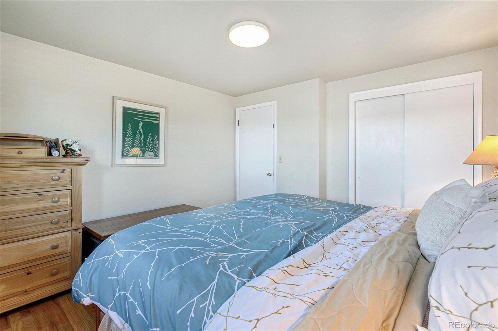 MLS Image #15 for 6581 s logan street,centennial, Colorado