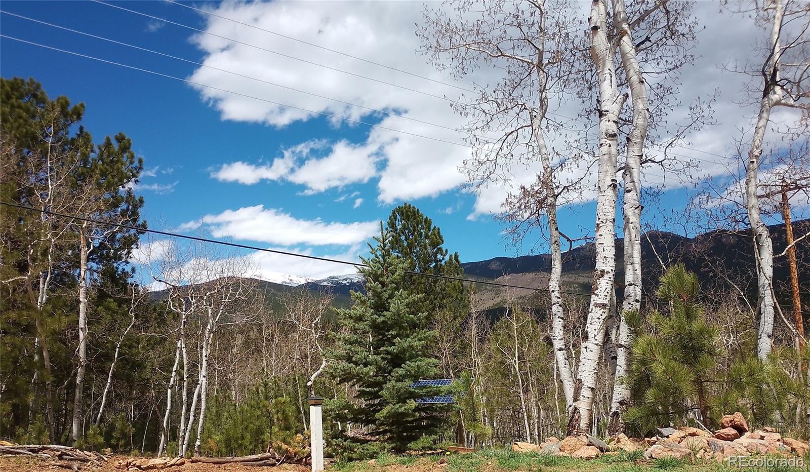 MLS Image #15 for 10  bartimous road,bailey, Colorado