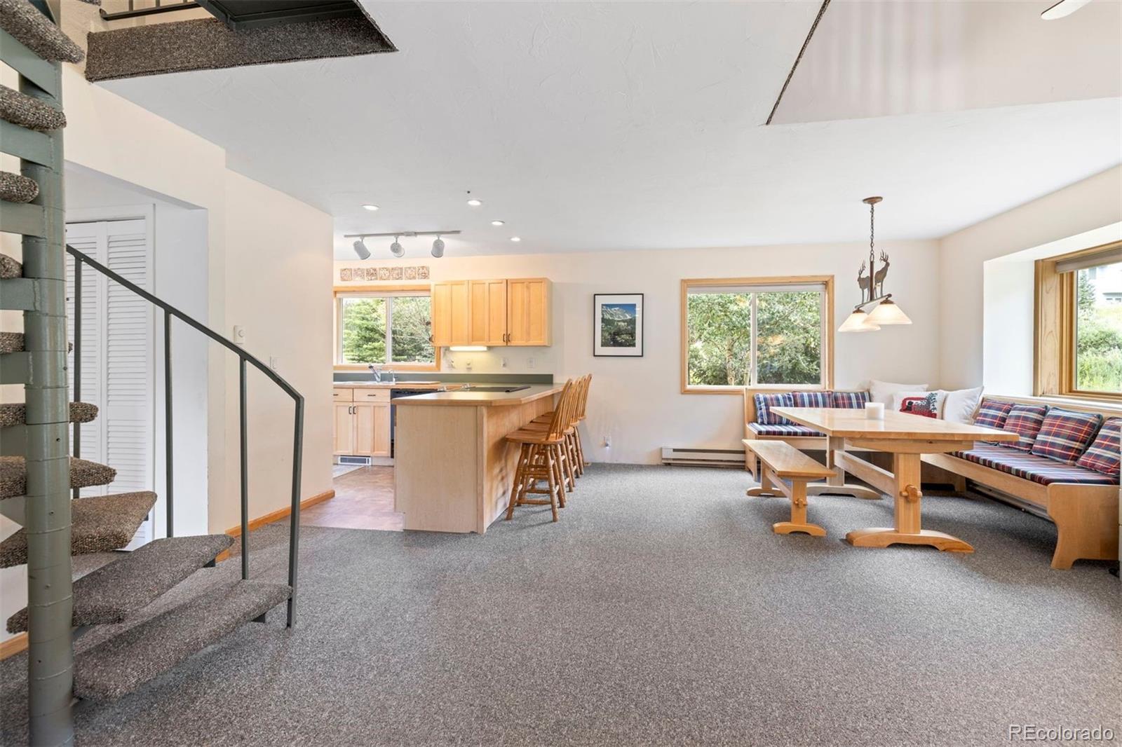 MLS Image #11 for 46  mcdill road,breckenridge, Colorado