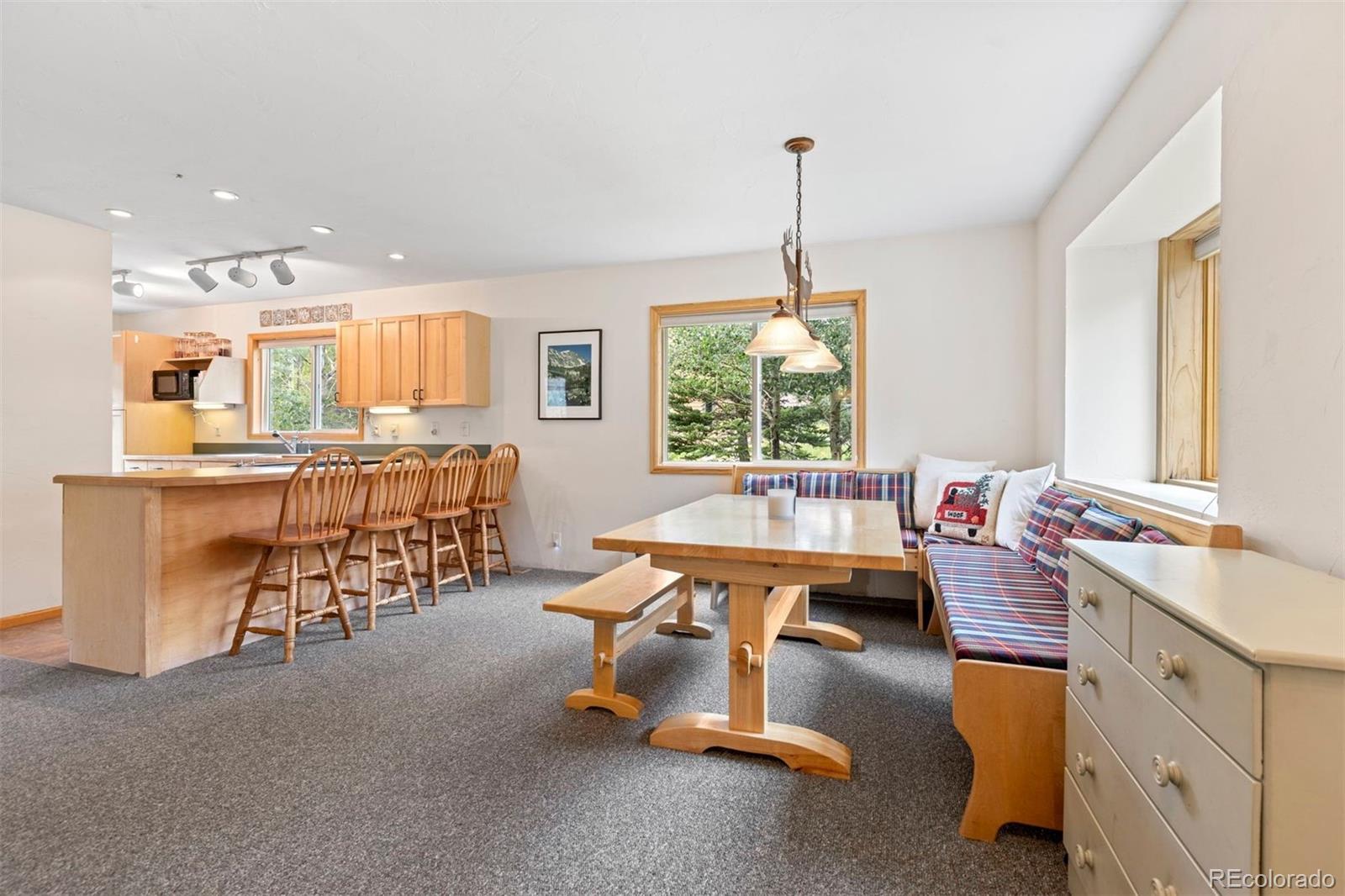 MLS Image #13 for 46  mcdill road,breckenridge, Colorado