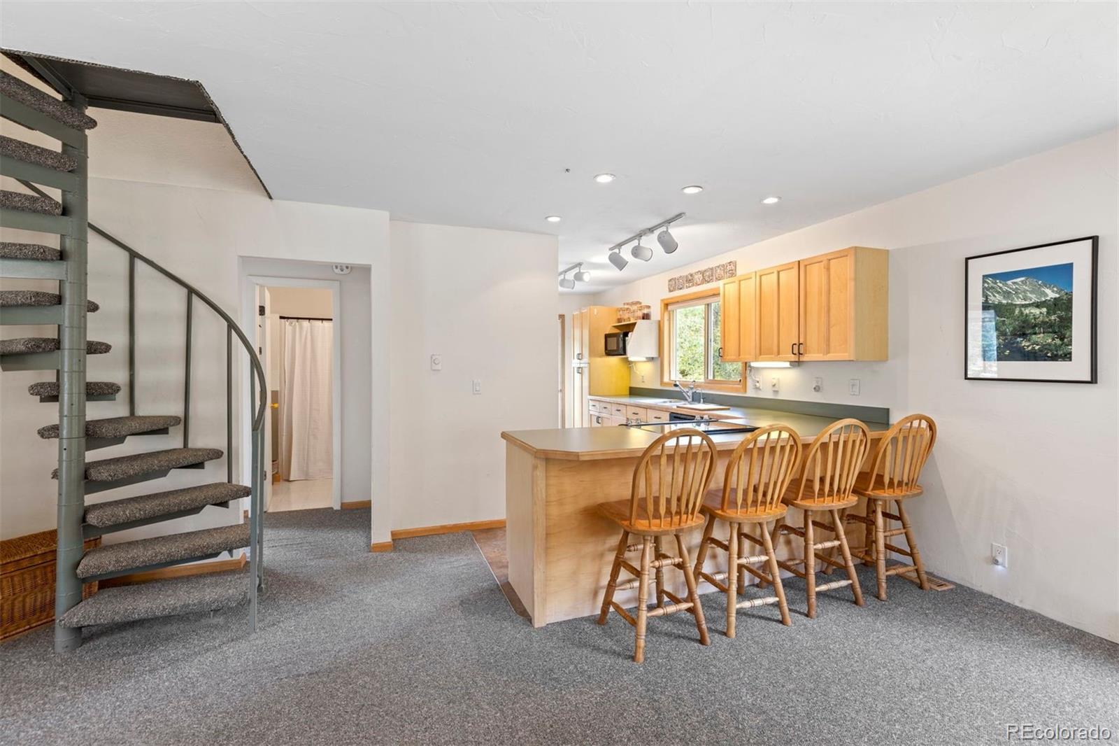 MLS Image #15 for 46  mcdill road,breckenridge, Colorado
