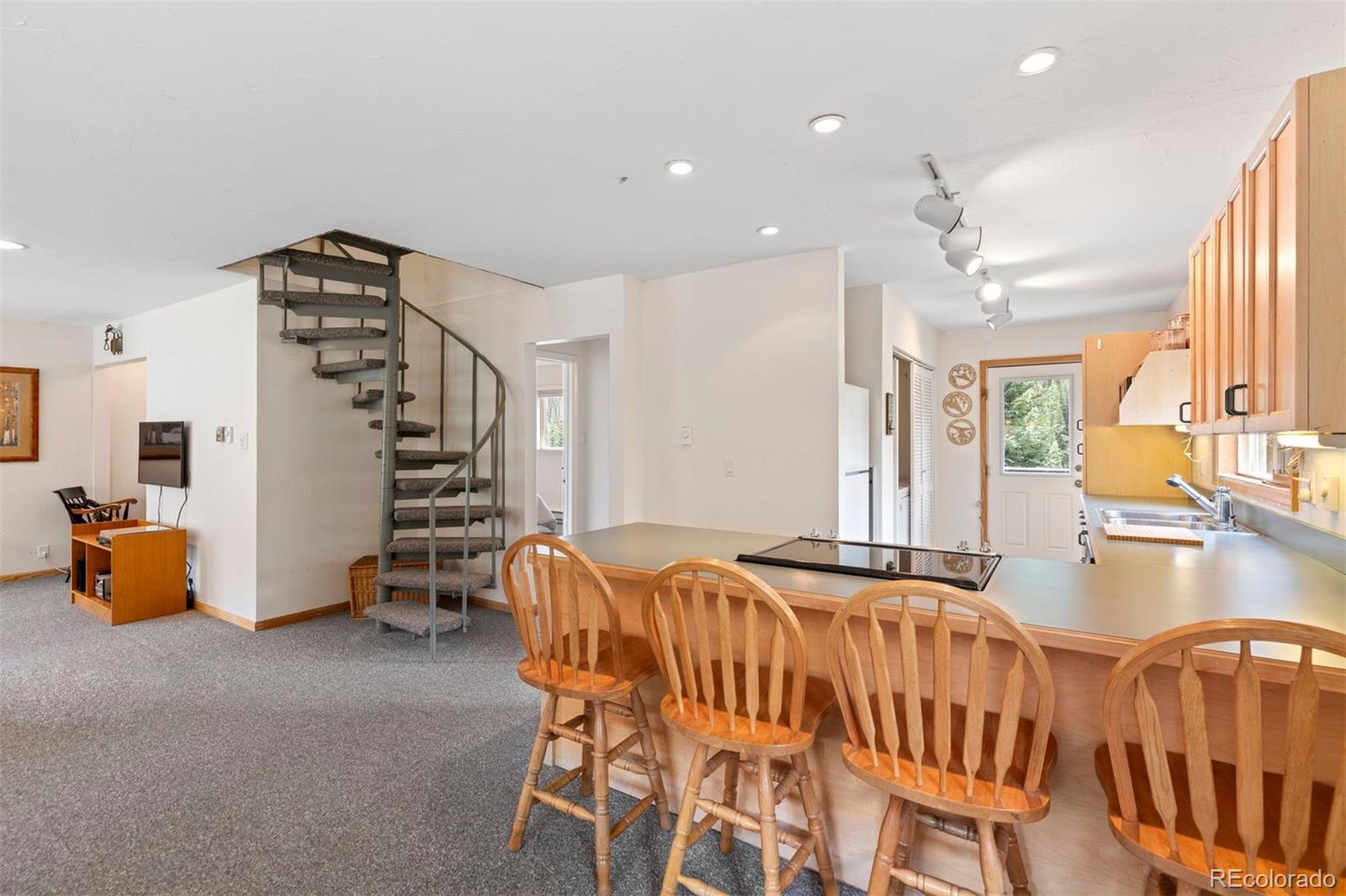MLS Image #16 for 46  mcdill road,breckenridge, Colorado