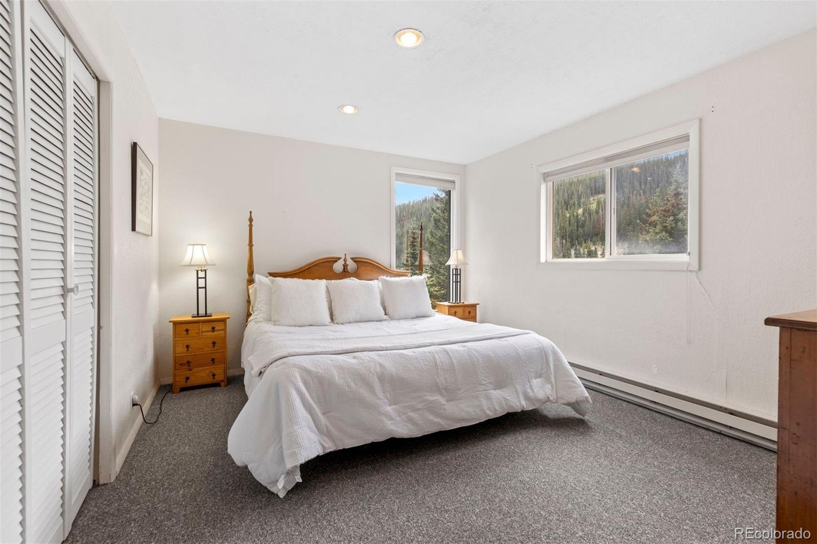MLS Image #20 for 46  mcdill road,breckenridge, Colorado