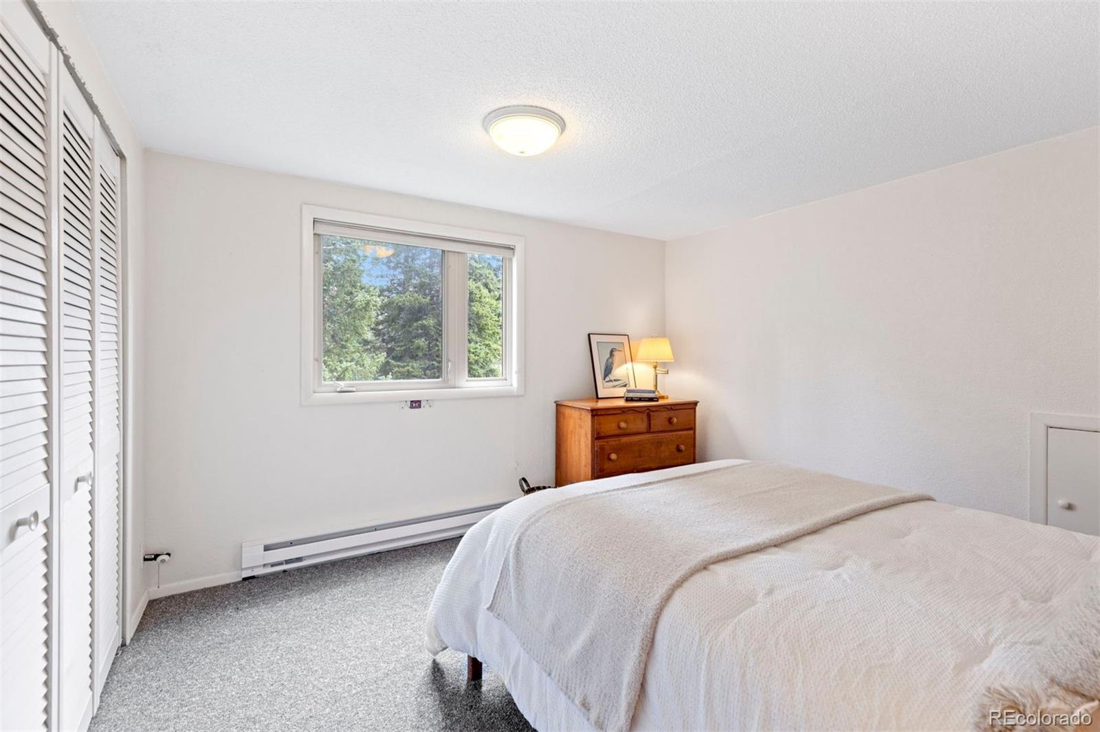 MLS Image #25 for 46  mcdill road,breckenridge, Colorado