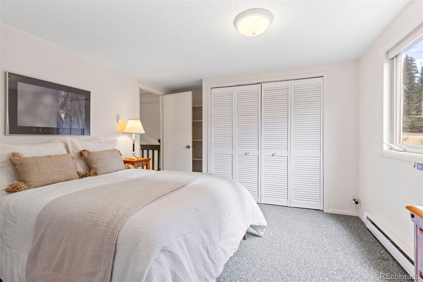 MLS Image #26 for 46  mcdill road,breckenridge, Colorado