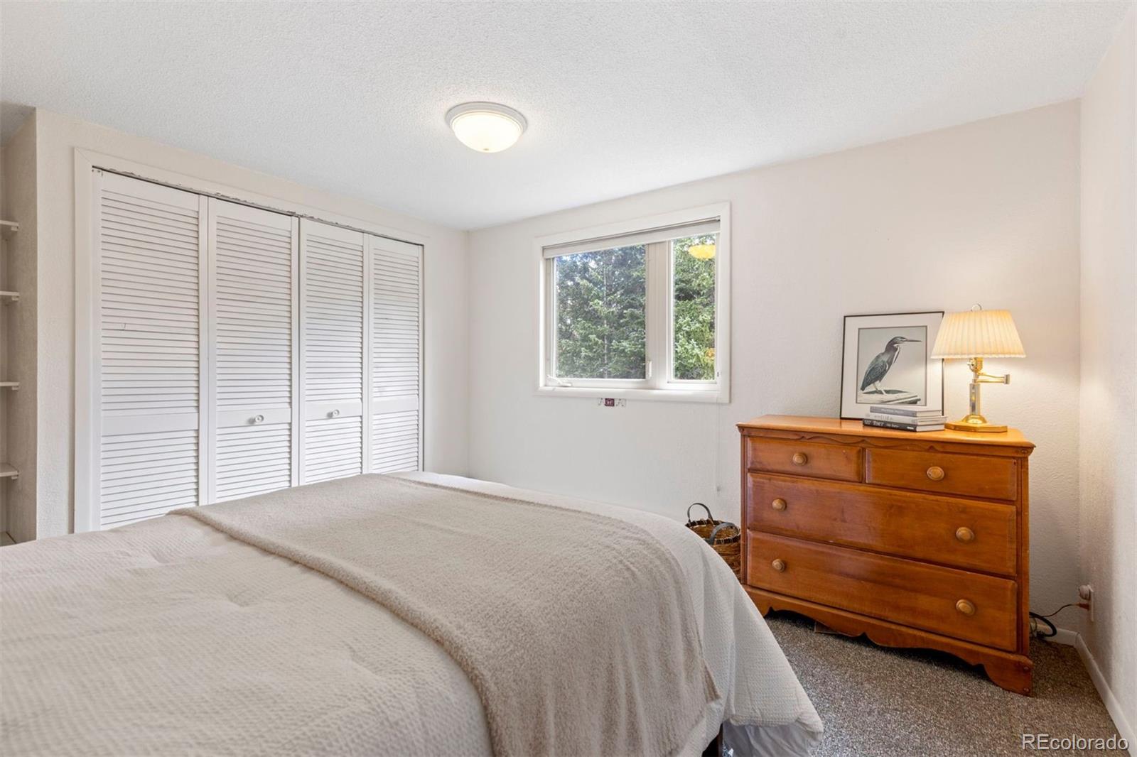 MLS Image #27 for 46  mcdill road,breckenridge, Colorado