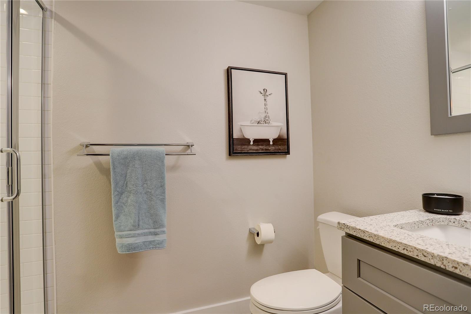 MLS Image #36 for 2641 s magnolia street,denver, Colorado