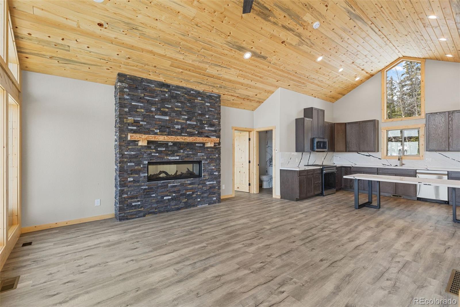 MLS Image #6 for 471  silverheels place,fairplay, Colorado
