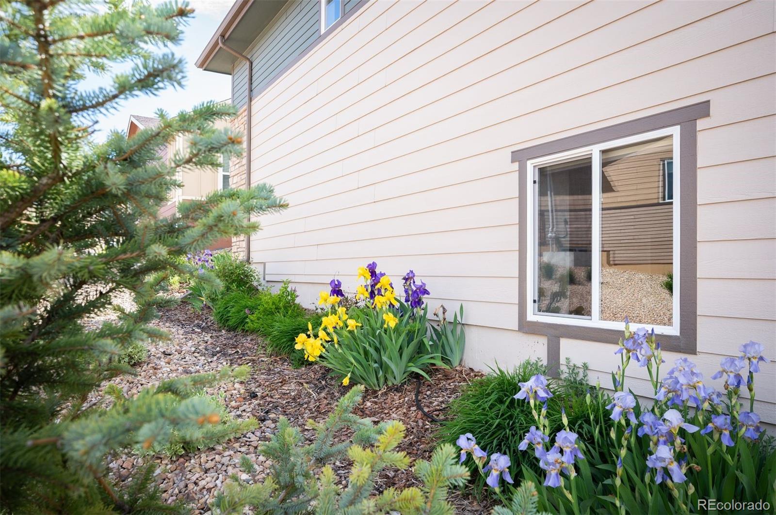 MLS Image #31 for 10786  bear cub drive,broomfield, Colorado
