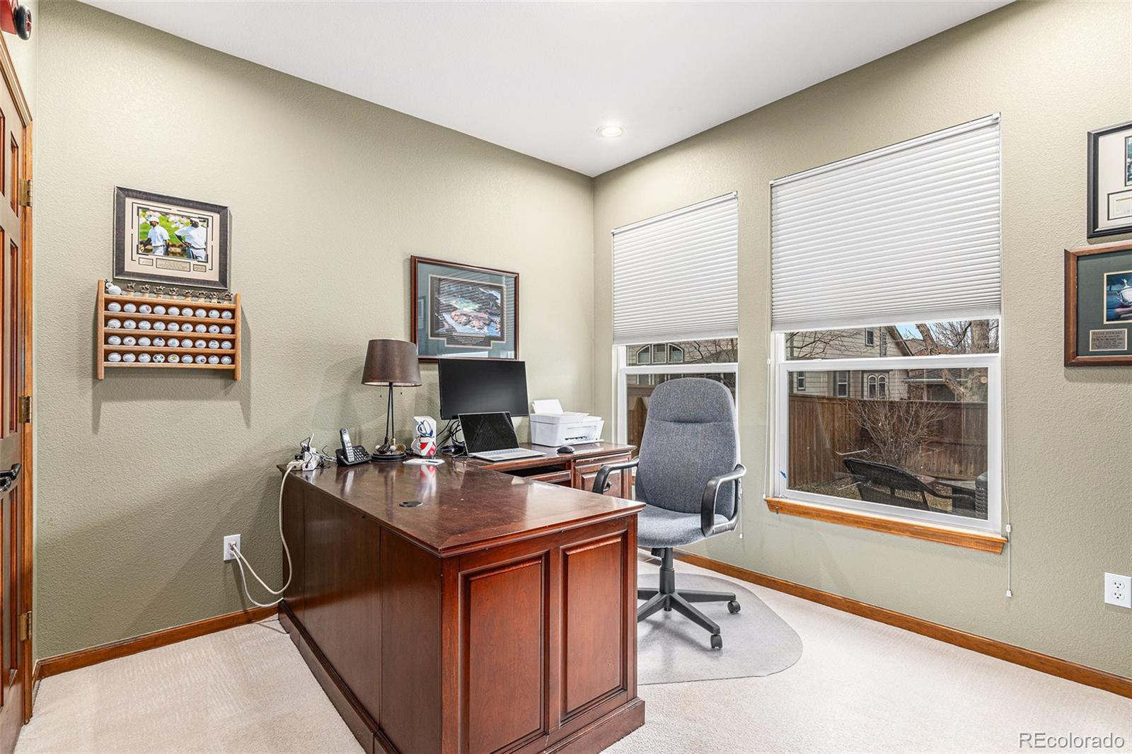 MLS Image #9 for 10429  white pine drive,parker, Colorado