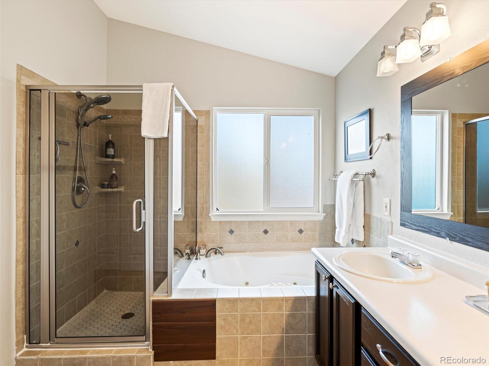 MLS Image #20 for 17127  yellow rose way,parker, Colorado