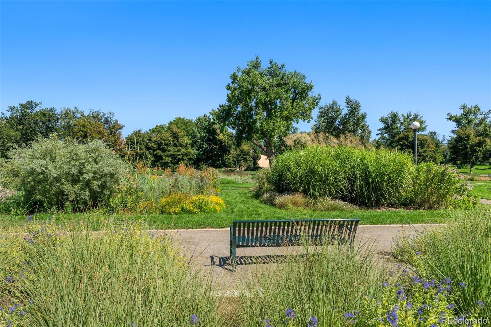 MLS Image #43 for 969 s pearl street,denver, Colorado