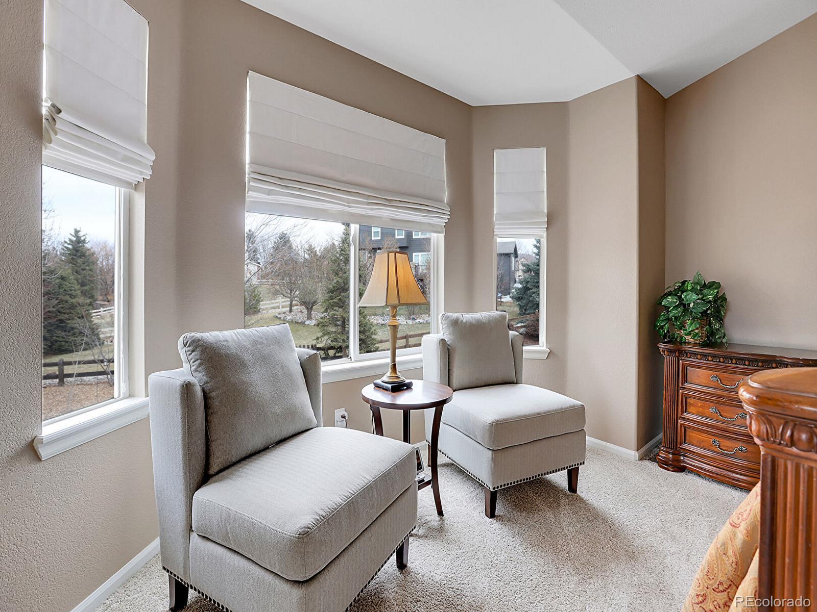 MLS Image #19 for 10062  eagle valley way,highlands ranch, Colorado