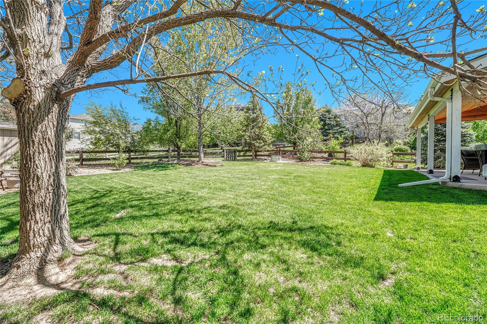 MLS Image #36 for 10062  eagle valley way,highlands ranch, Colorado