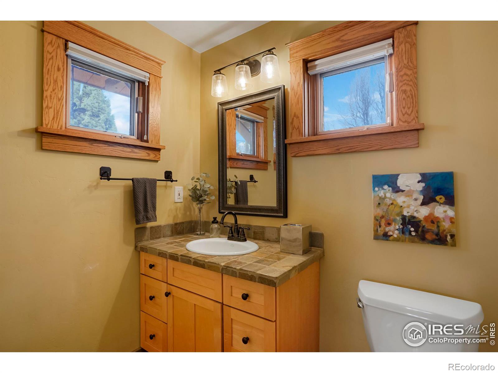 MLS Image #11 for 1385  washburn street,erie, Colorado