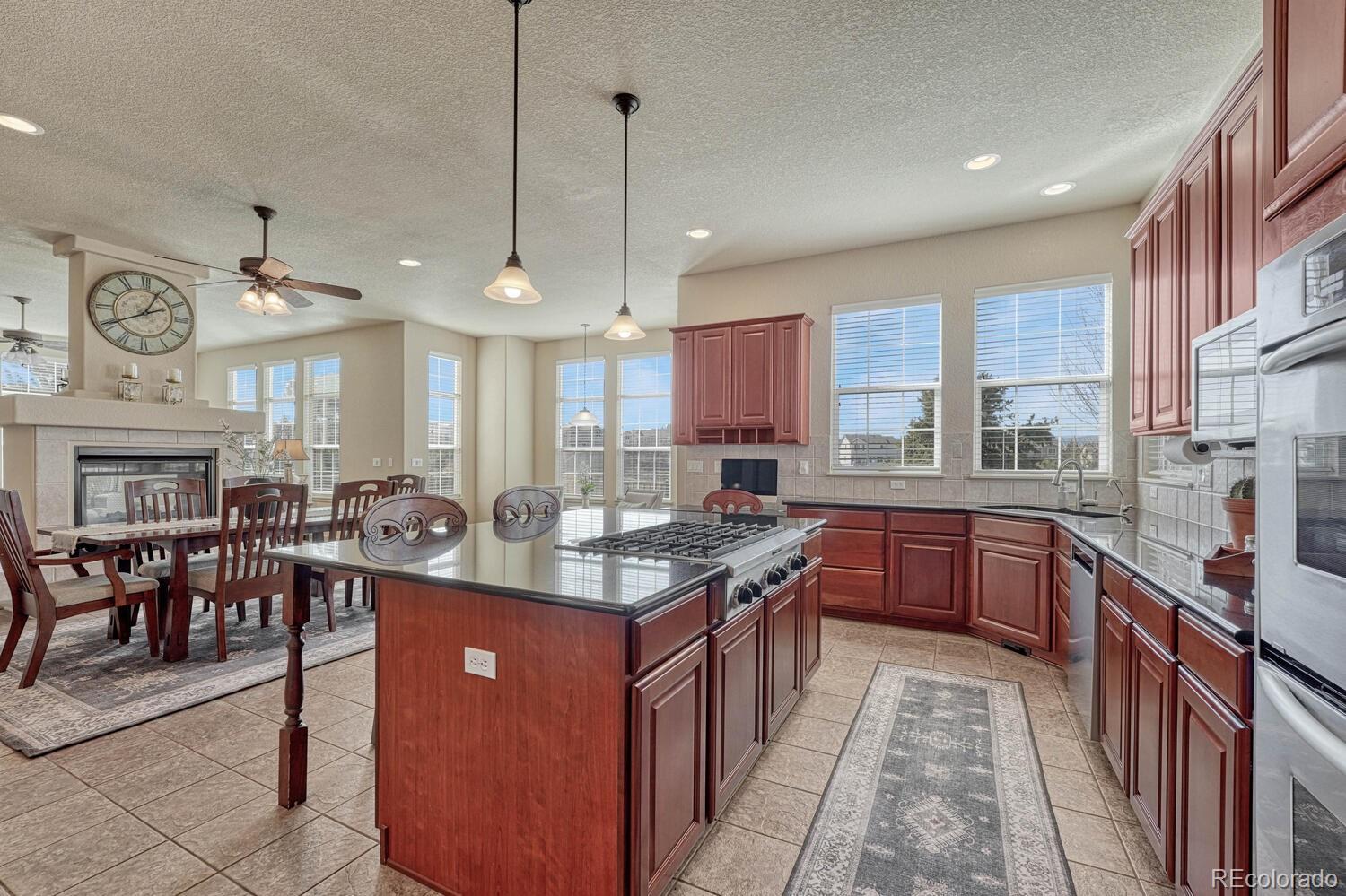 MLS Image #13 for 3125  starling court,castle rock, Colorado