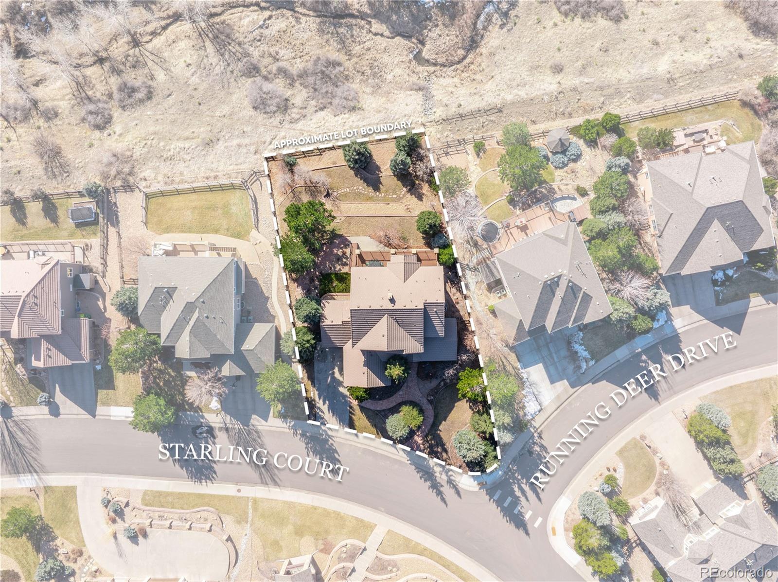 MLS Image #3 for 3125  starling court,castle rock, Colorado