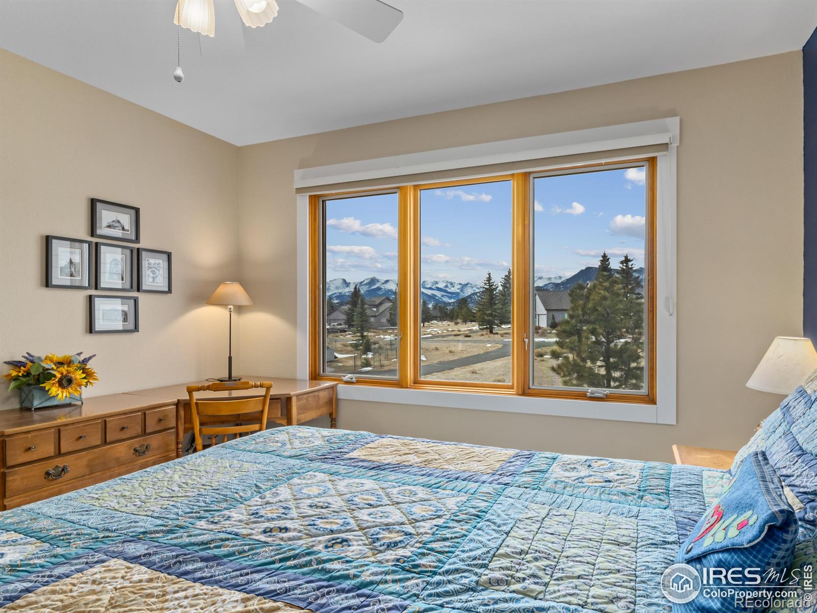 MLS Image #27 for 1400  raven circle,estes park, Colorado