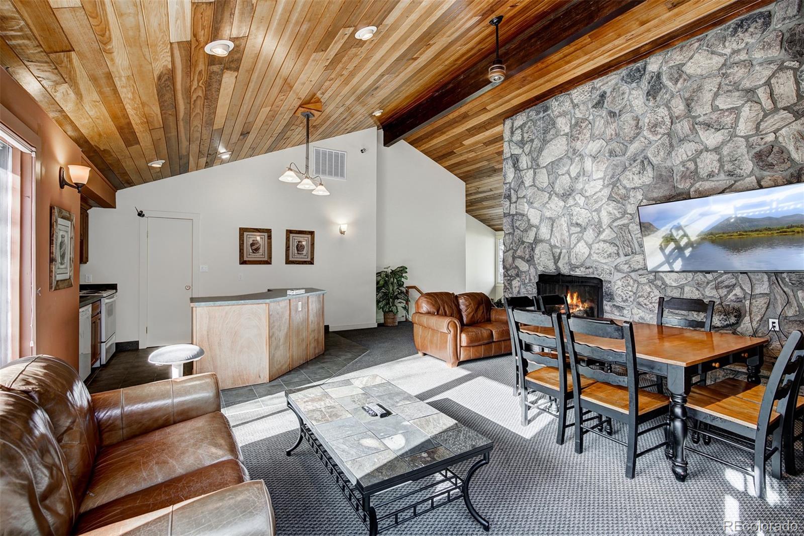 MLS Image #16 for 176 e la bonte street,dillon, Colorado