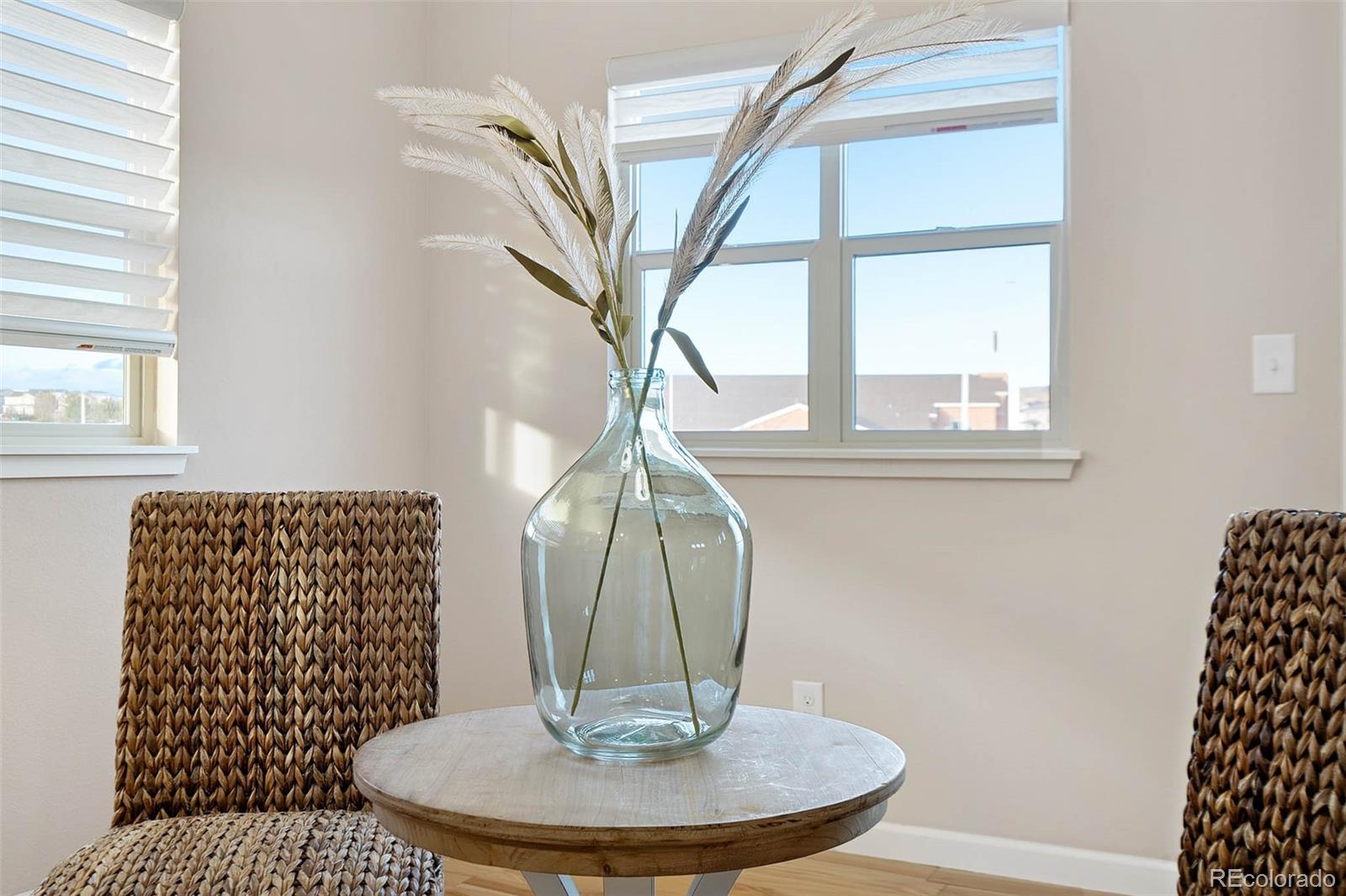 MLS Image #15 for 18028  french creek avenue,parker, Colorado